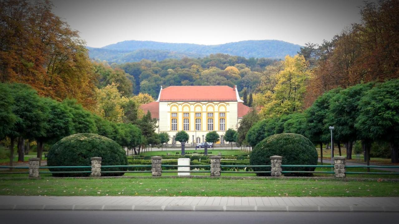 Banja KoviljačaDijamant公寓 外观 照片